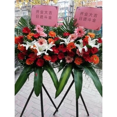 鹏程似锦