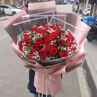 心之所向